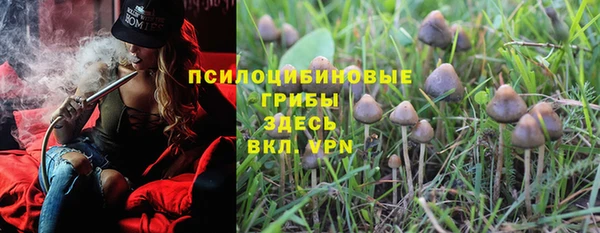 твердый Няндома