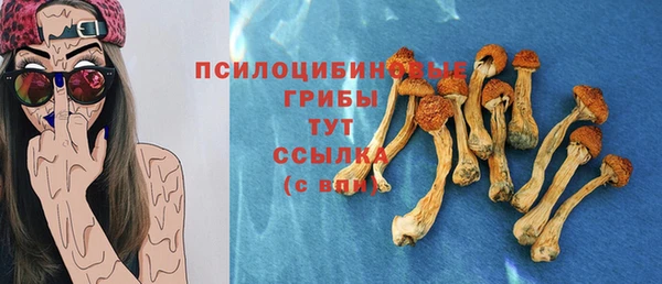герыч Болохово