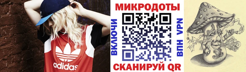 Псилоцибиновые грибы Psilocybine cubensis  кракен ссылки  Сорск 